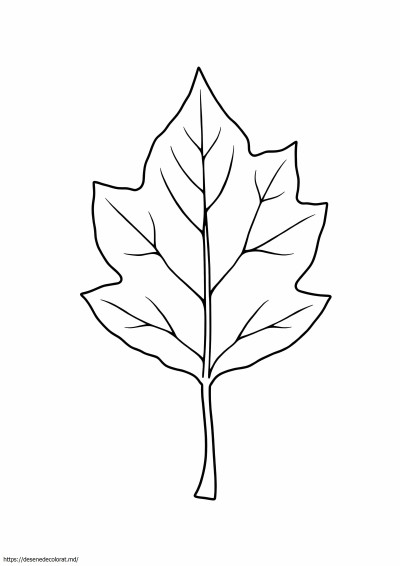 Clipart de frunze de ulm abstracte