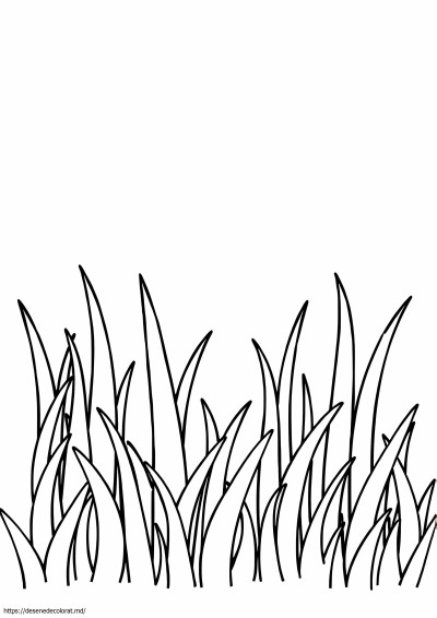 Iarbă clipart