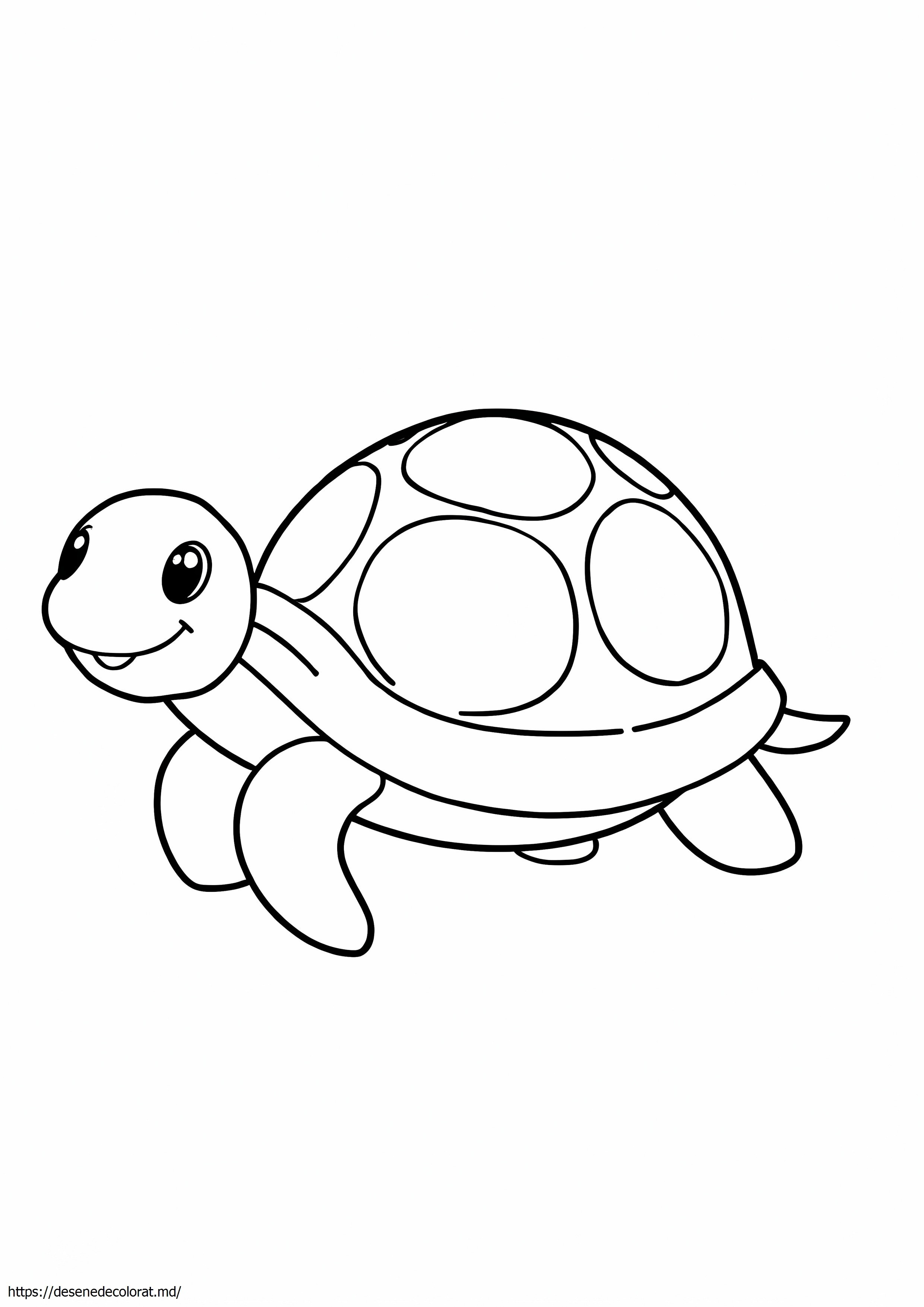 Clipart țestoasă