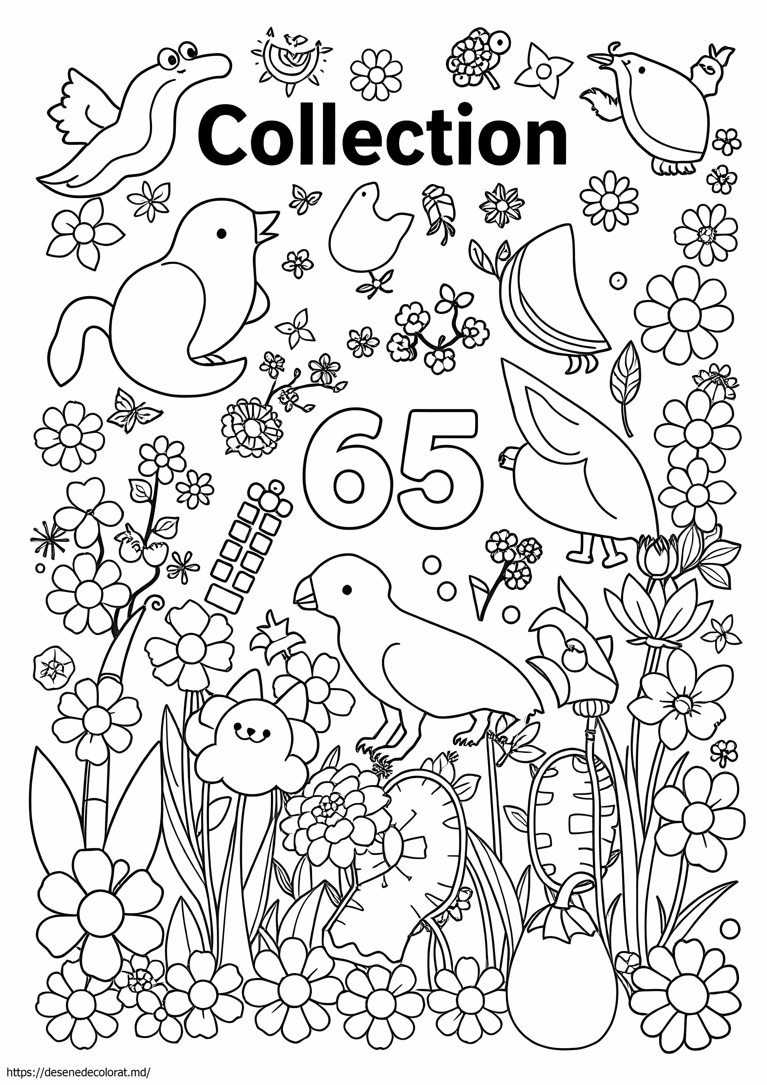 65 de pagini color