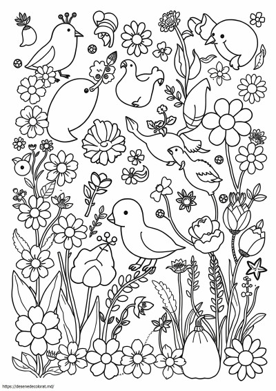 101 pagini de colorat