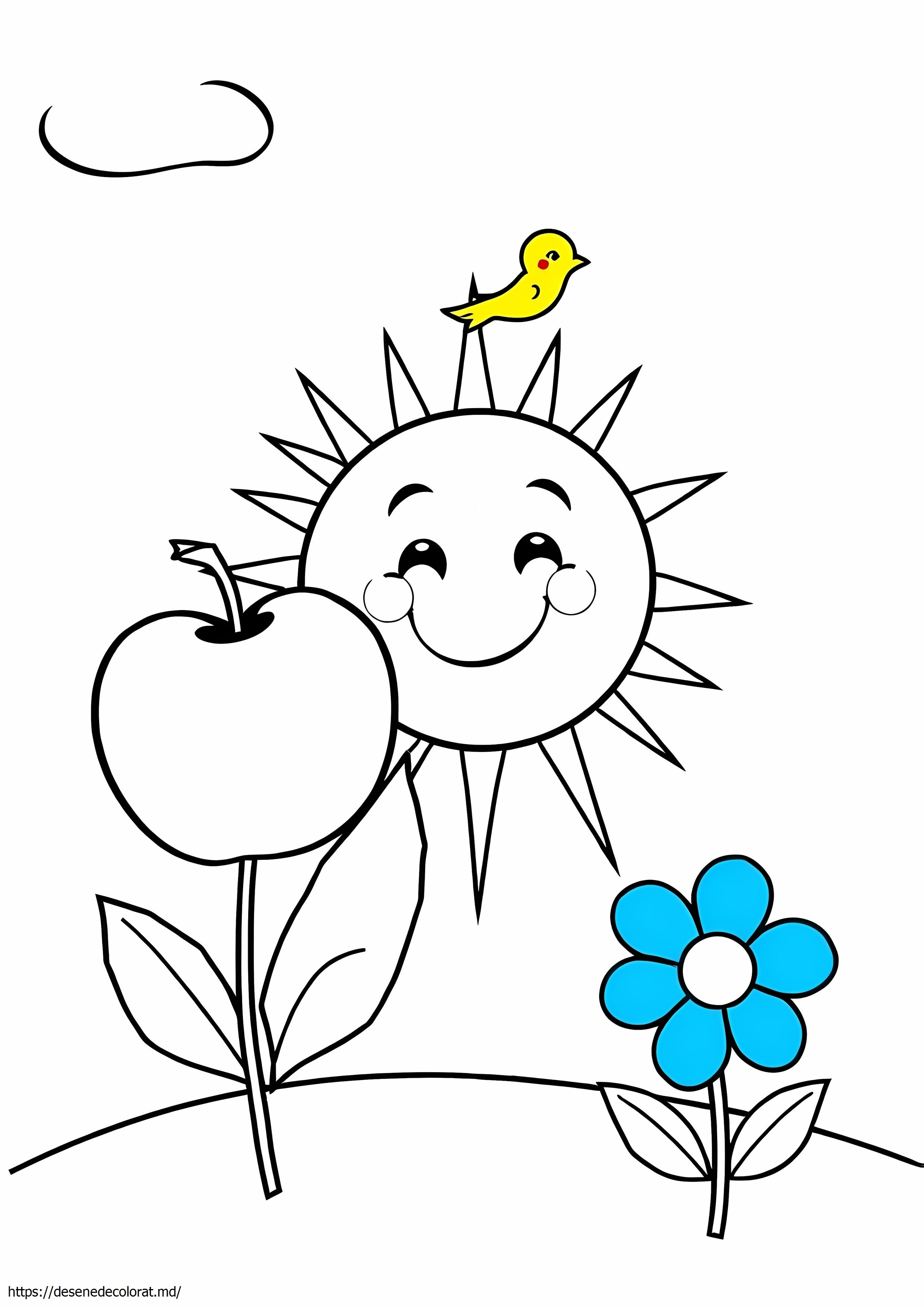 Carte de colorat