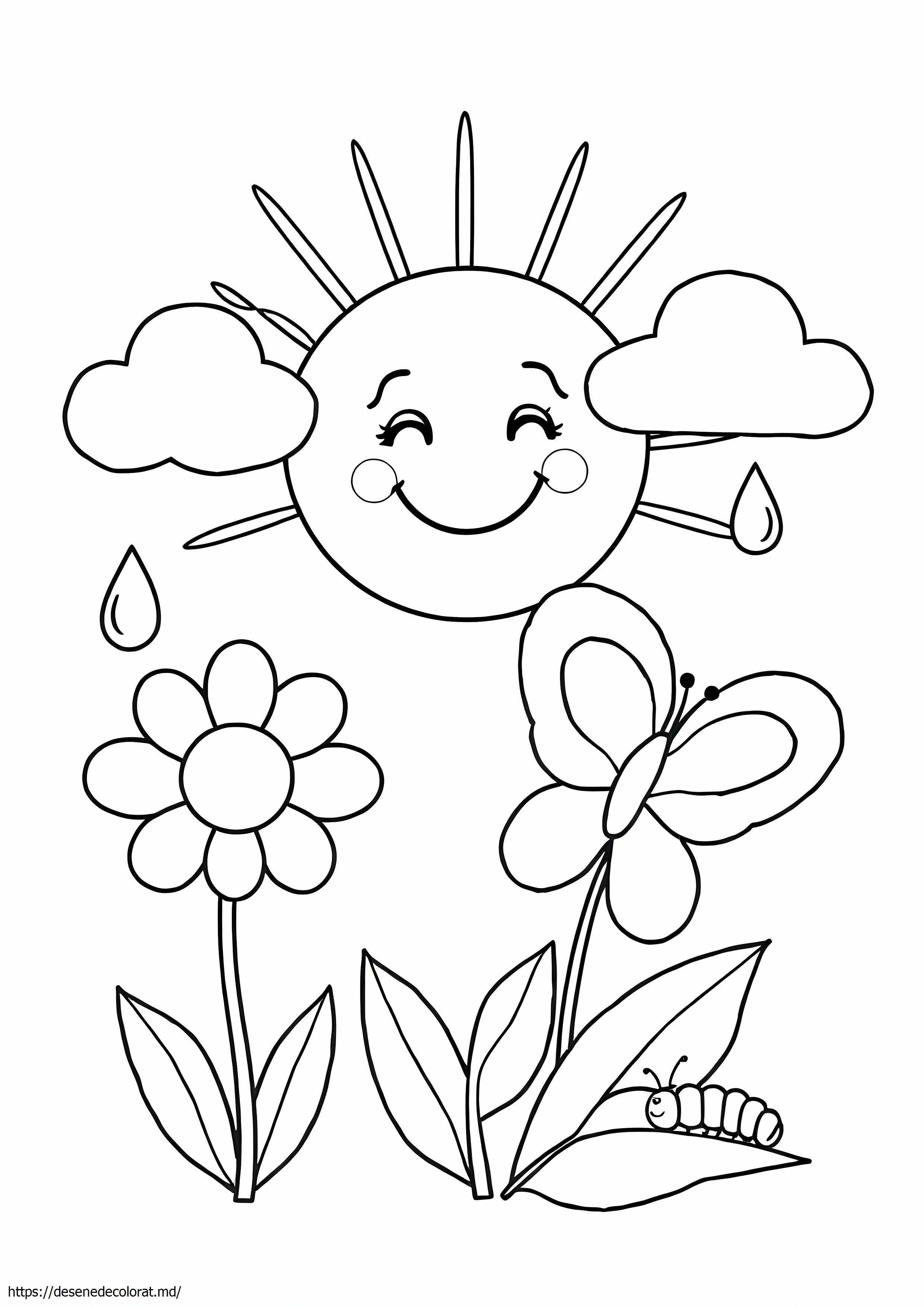 Imagini de colorat