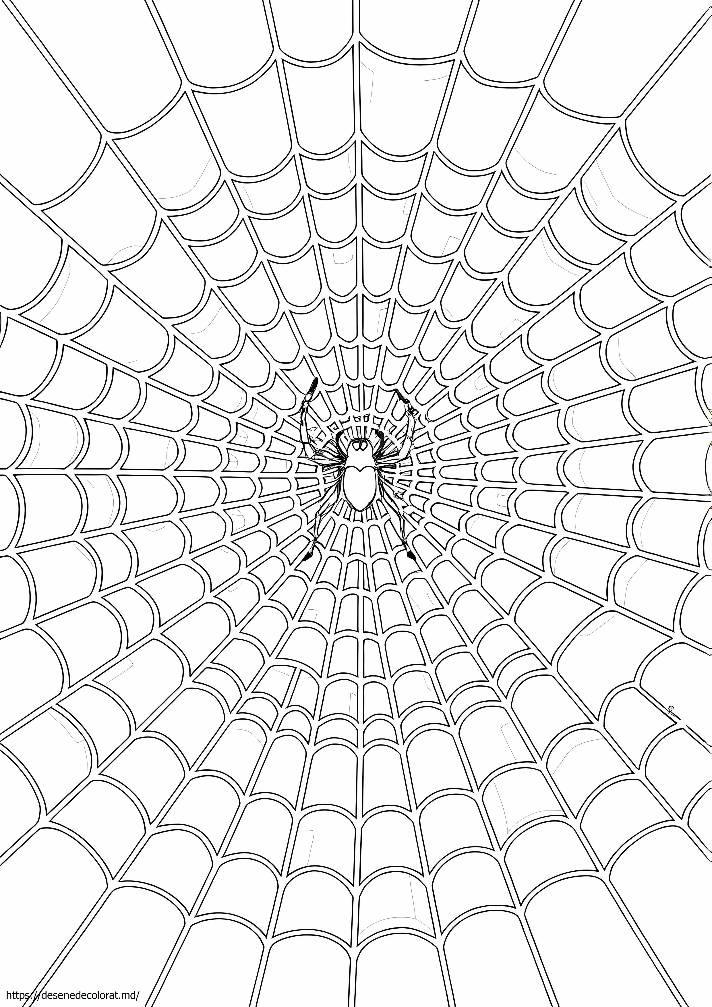 Web de colorat