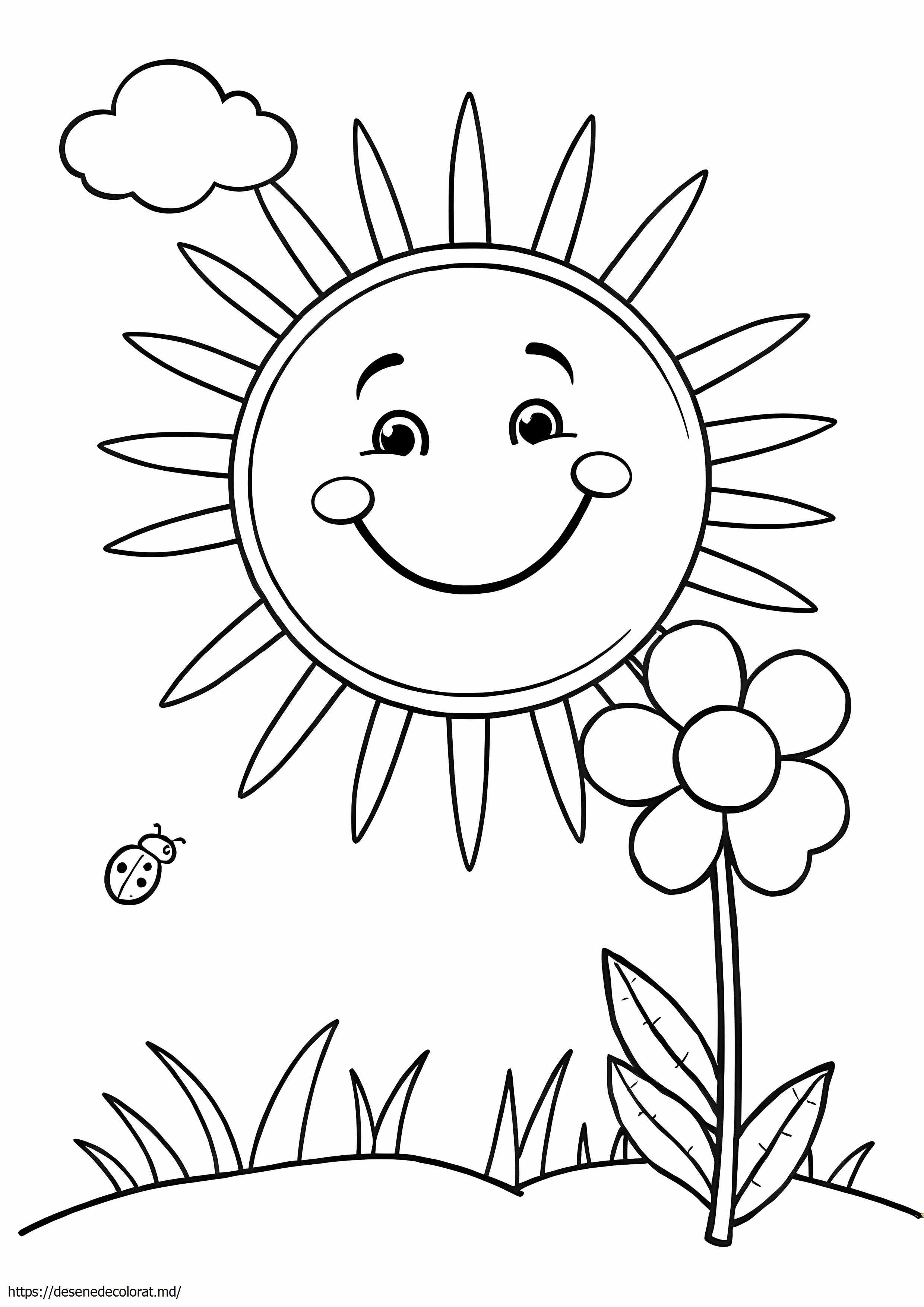Desene de colorat