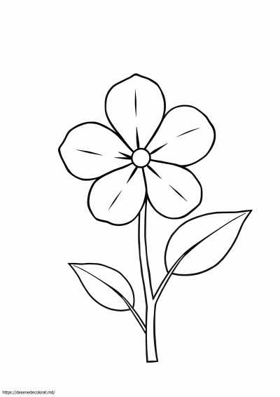 Liliac