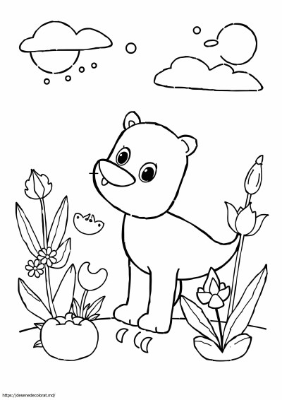 Imagini de colorat