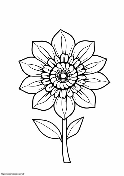Floare dificilă