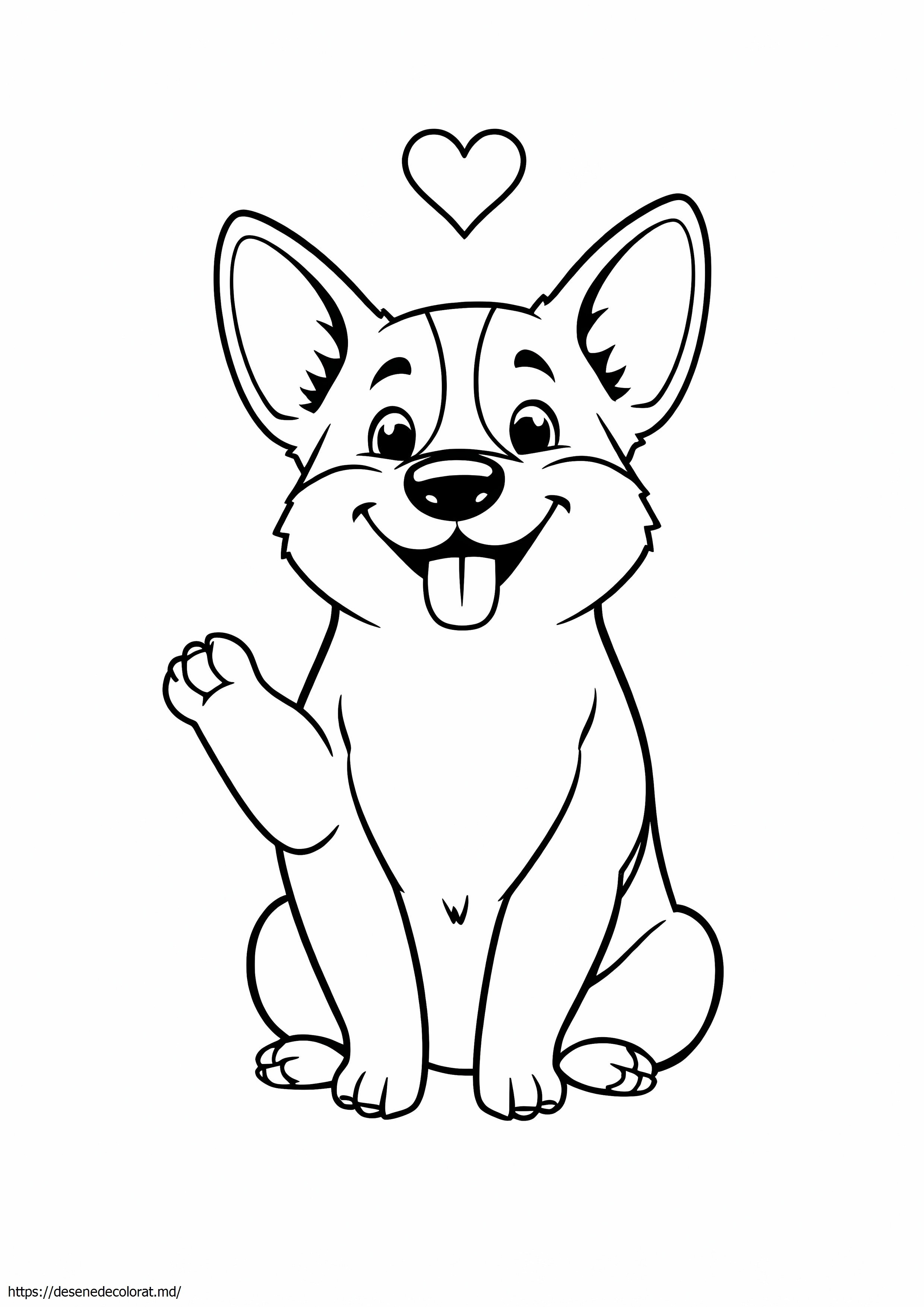 Corgi