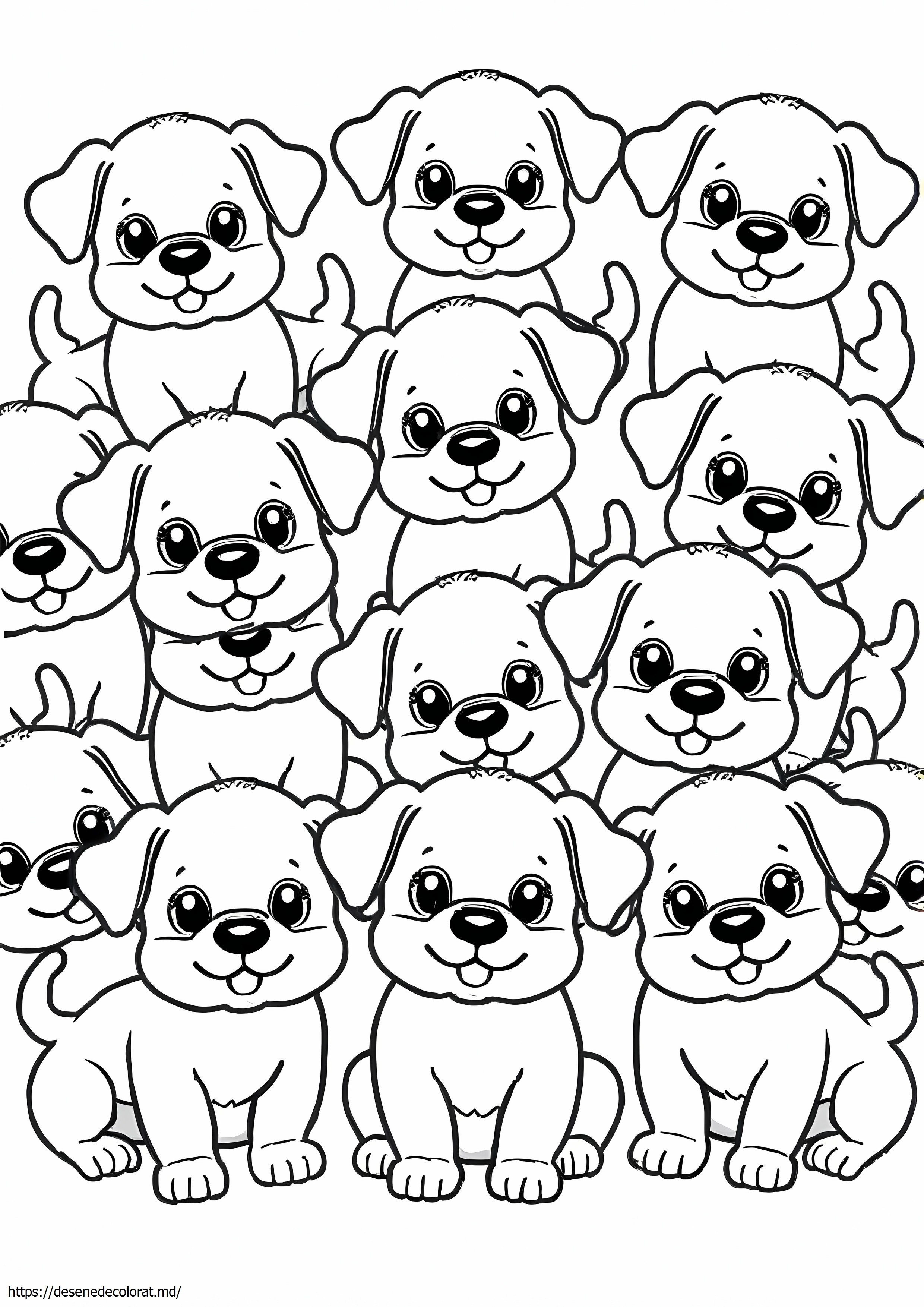 Cățeluși adorabili