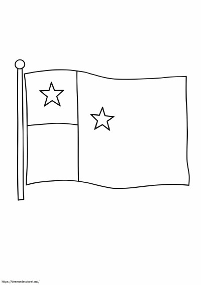 Steagul chilian