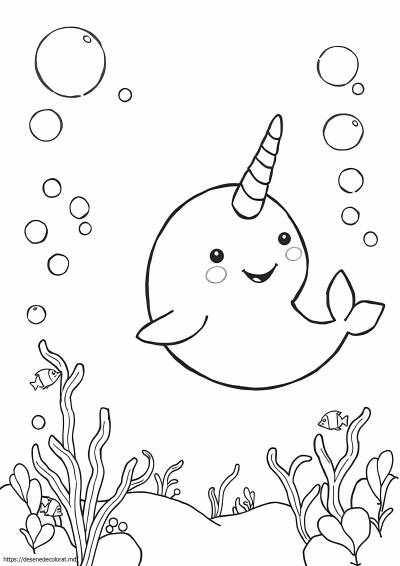 Adorabil narval