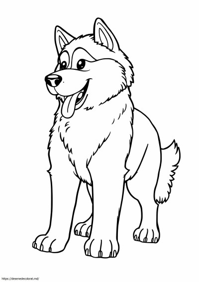 Malamute din Alaska