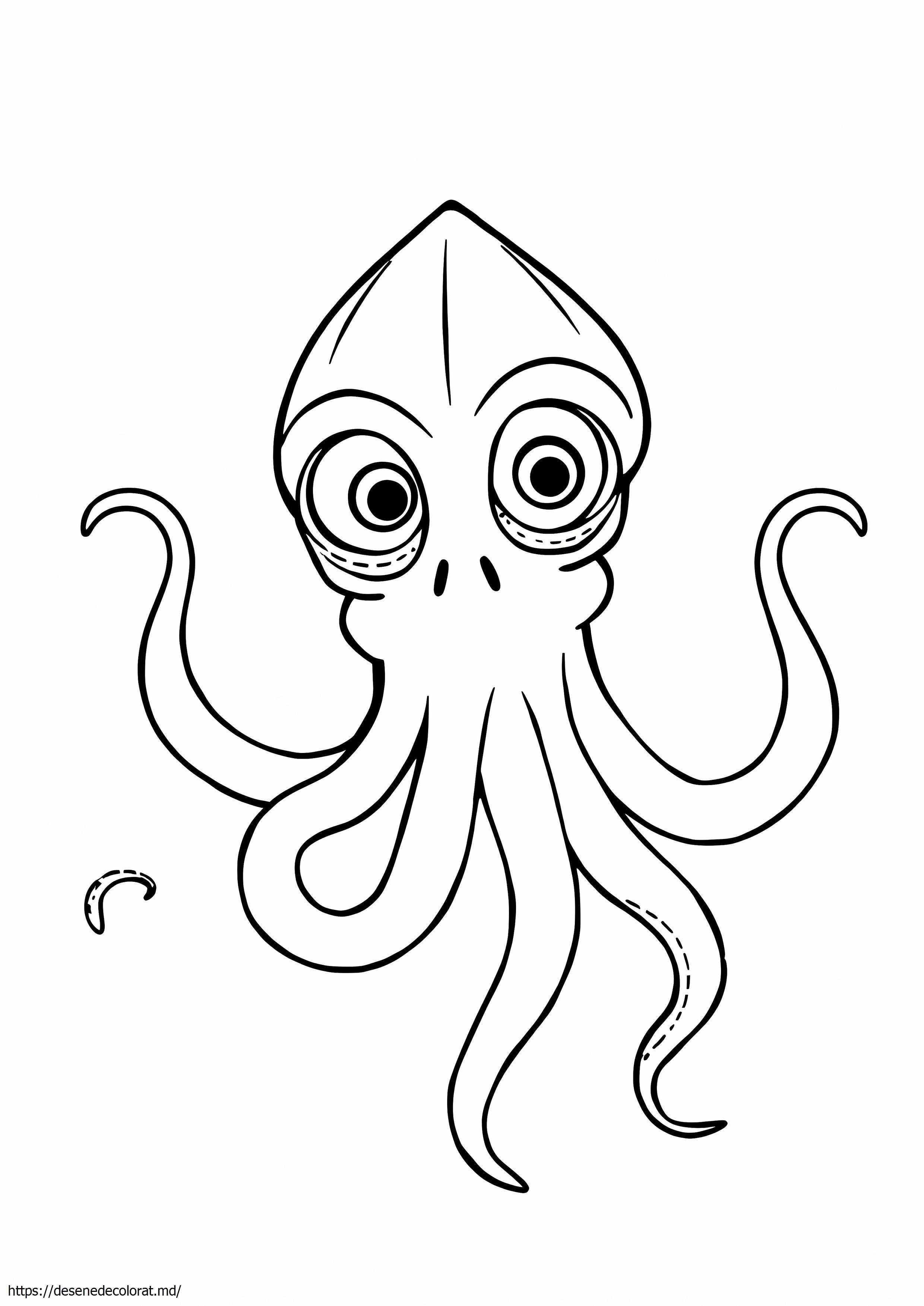 Calamar vampir