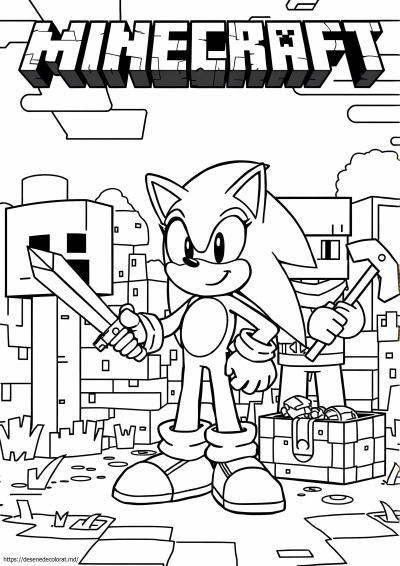 Minecraft sonic
