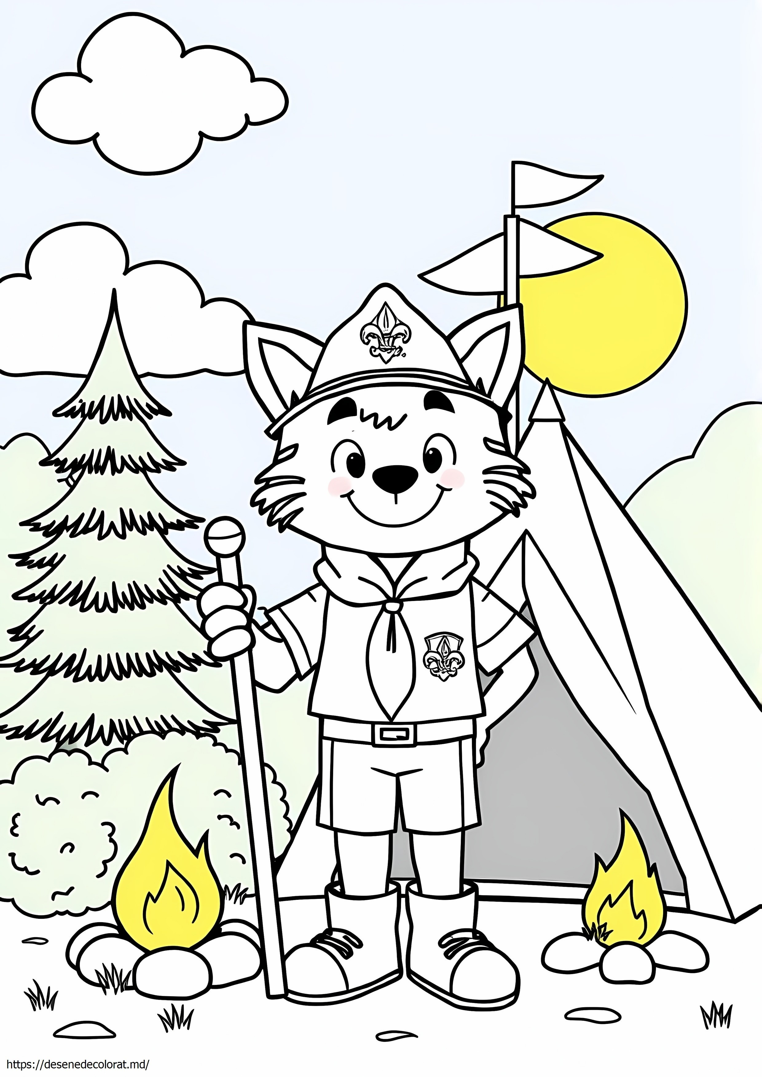 Cub scout bobcat