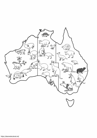Aborigena australiei