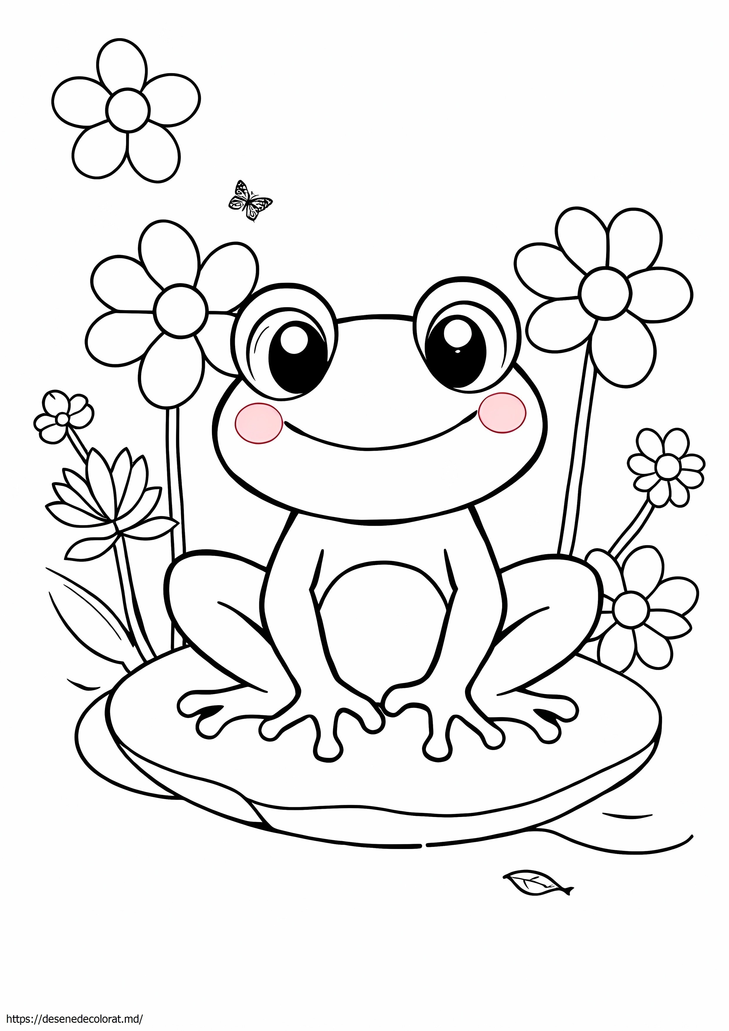 Broasca kawaii