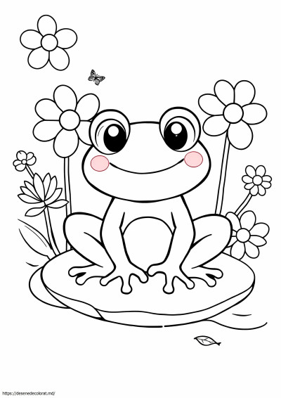 Broasca kawaii