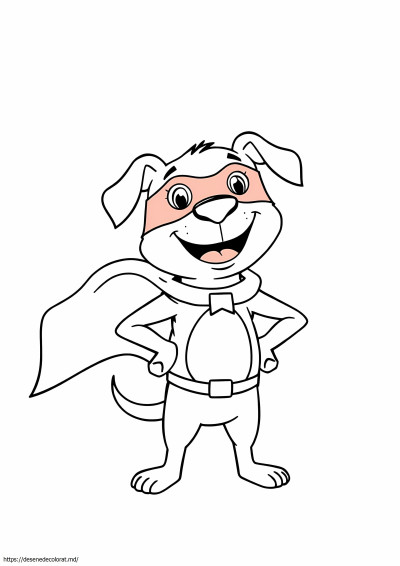 Super animal