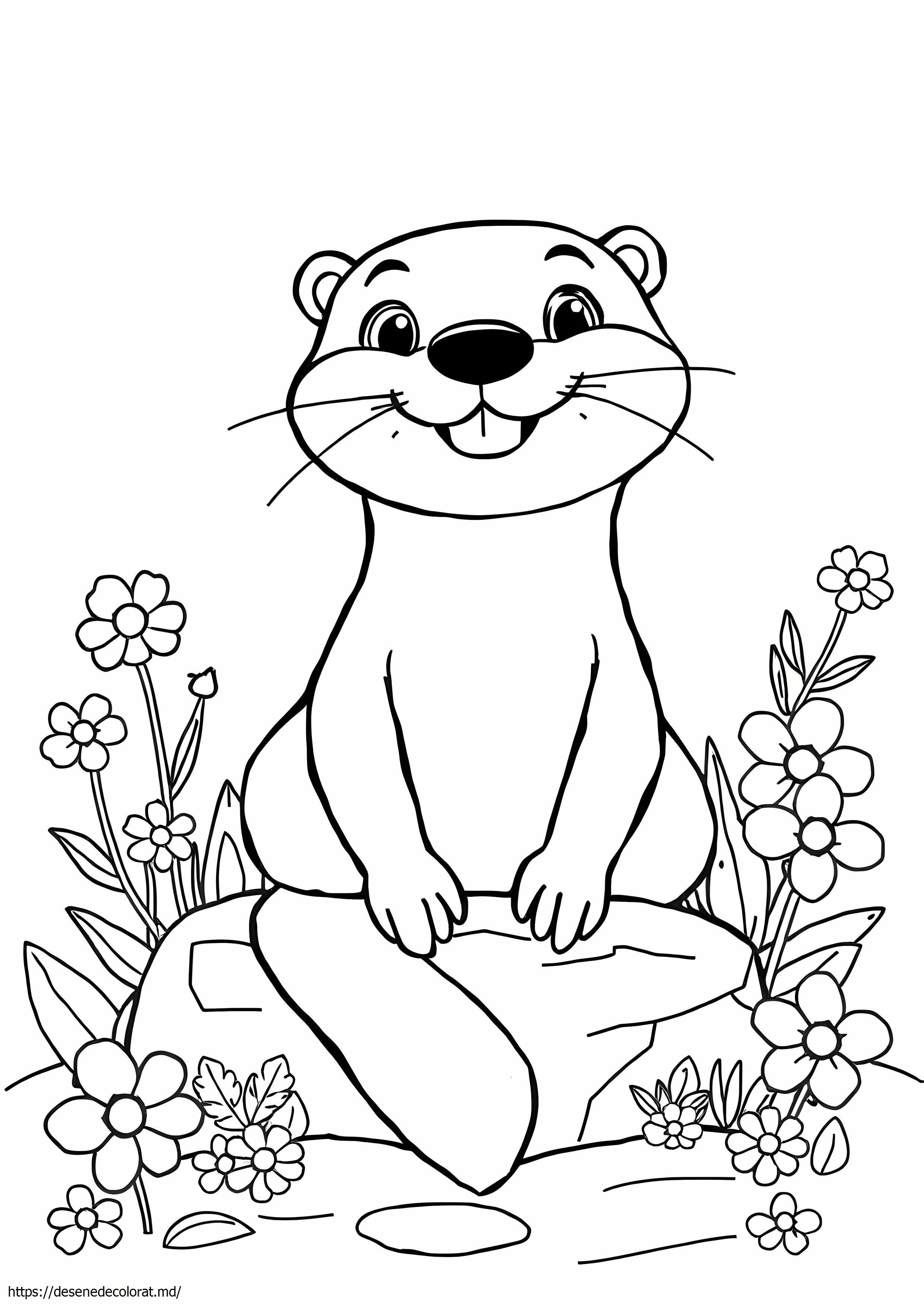 Gem de animale vidră