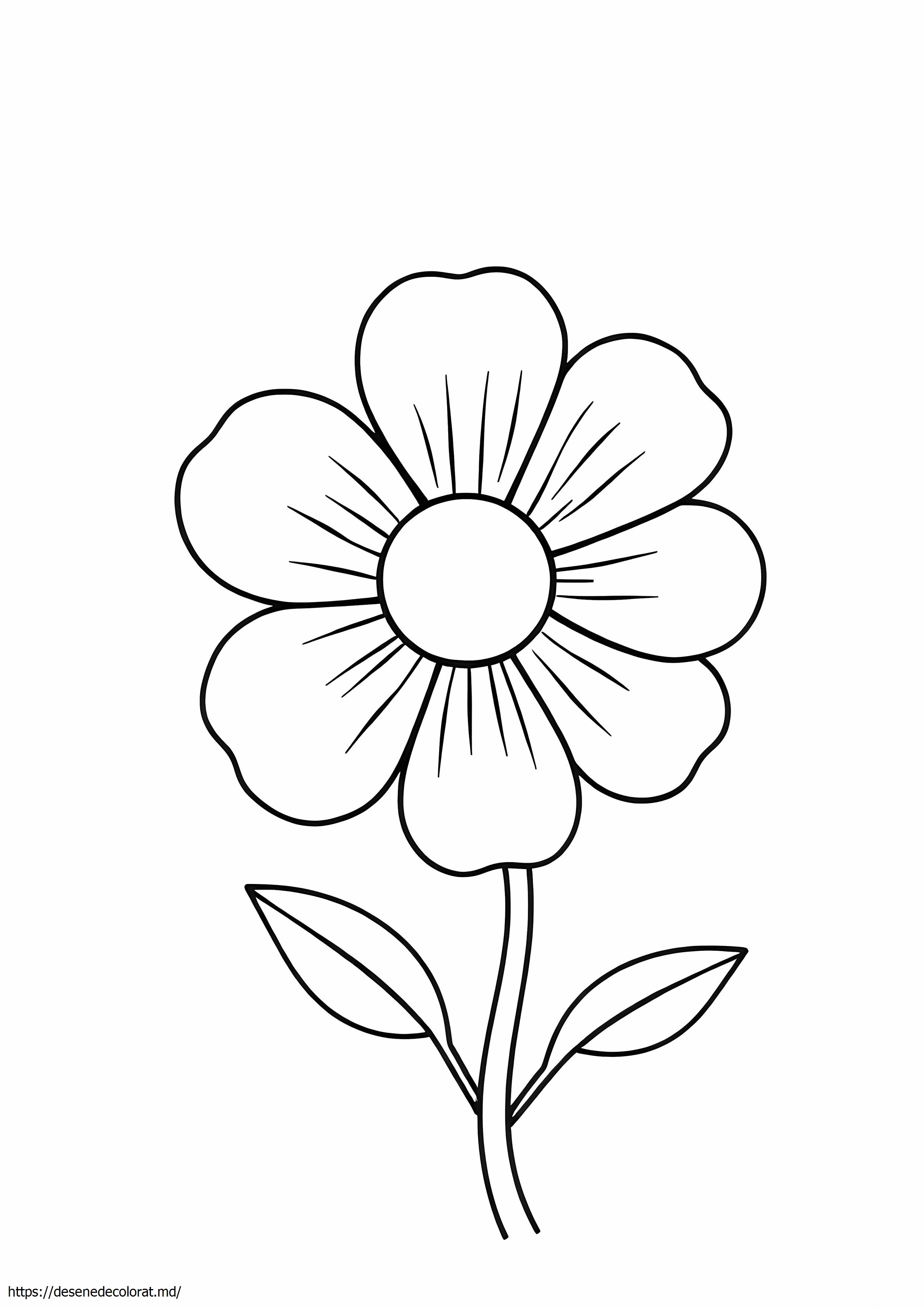 Floare abstractă