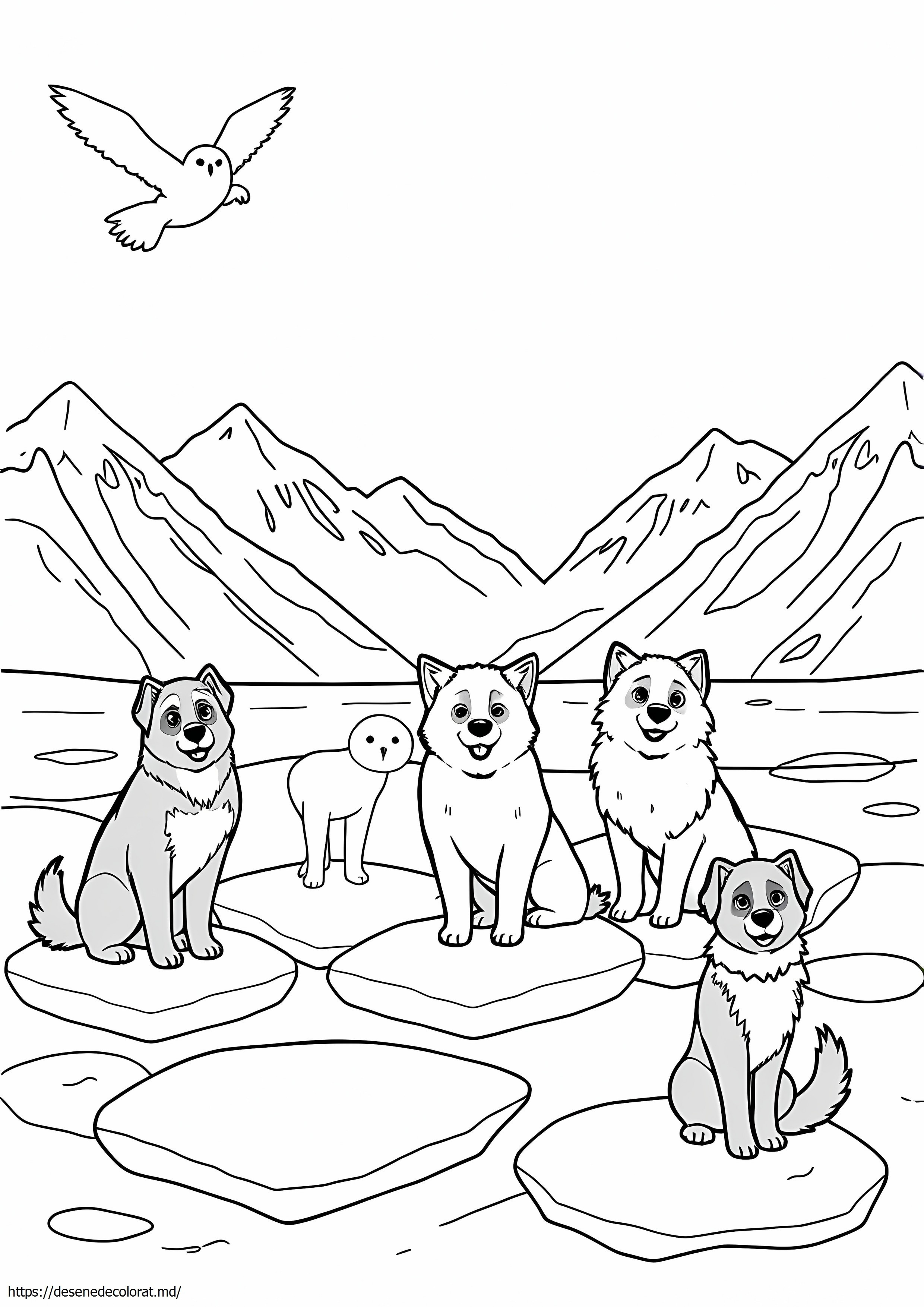 Câini arctici