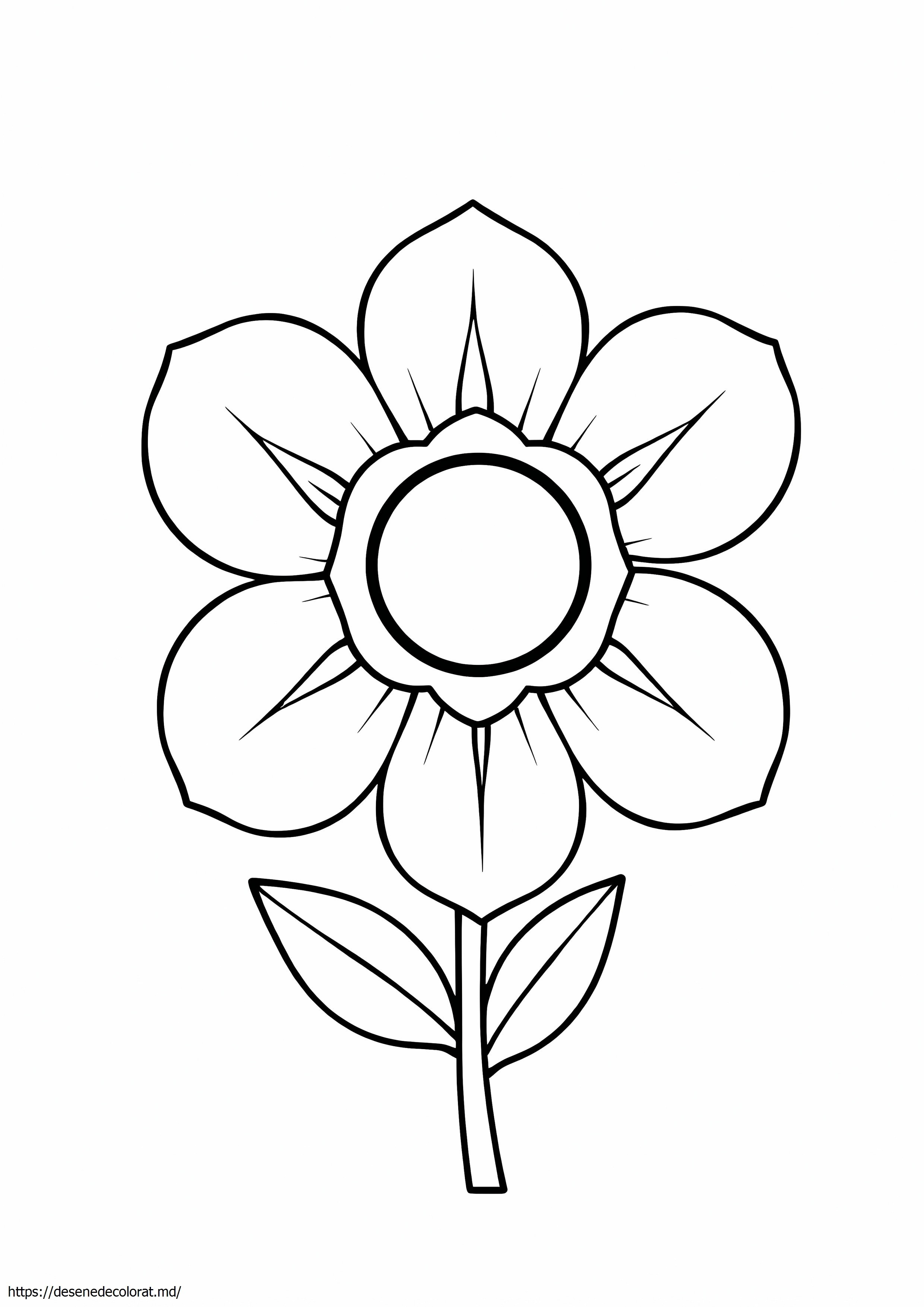 Flori geometrice