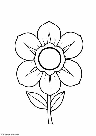 Flori geometrice