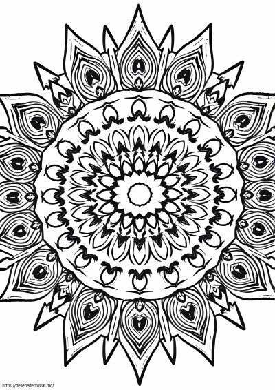 Model mandala
