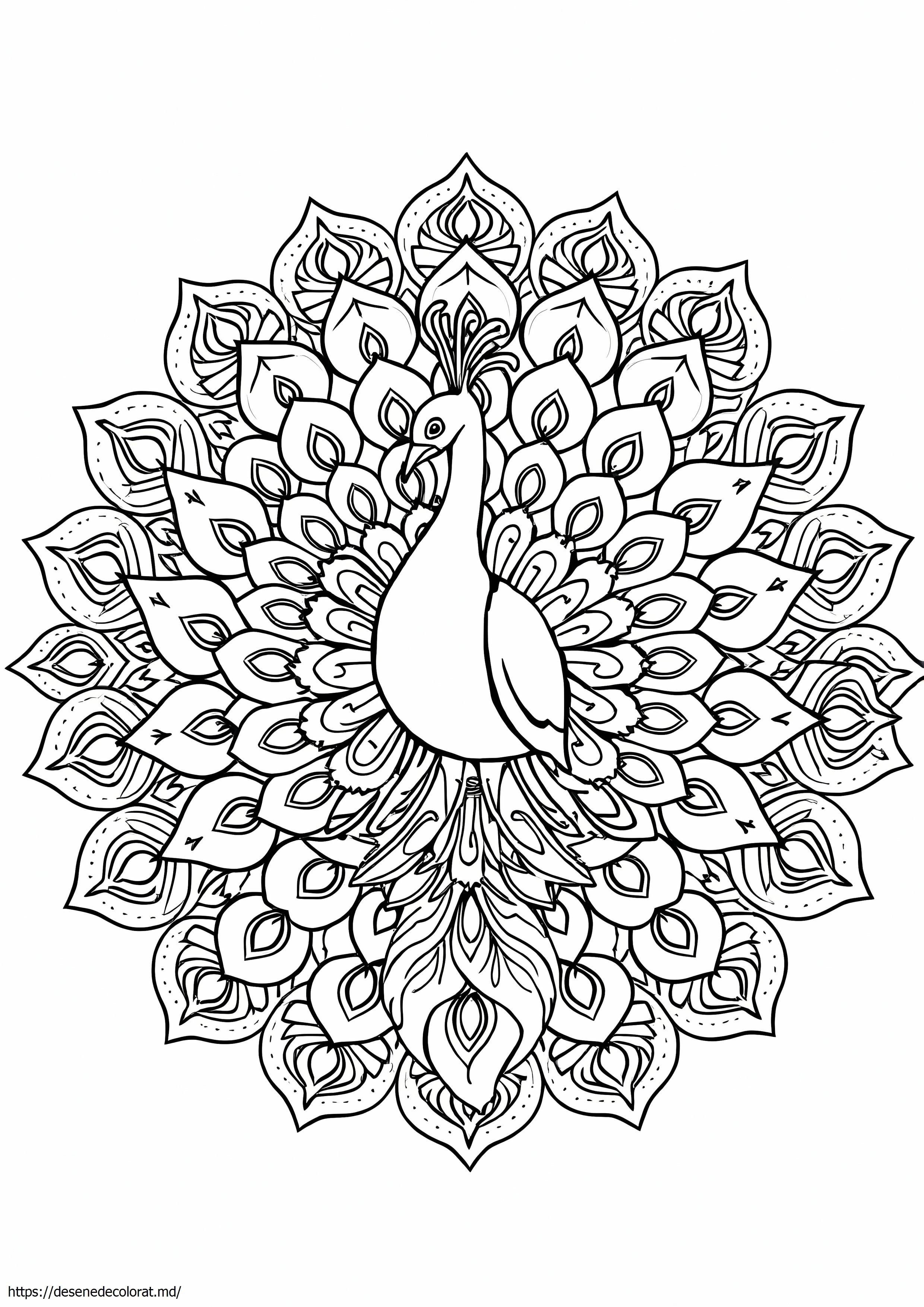 Rangoli tari de păun