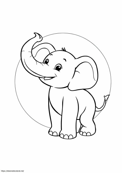 Pui de elefant