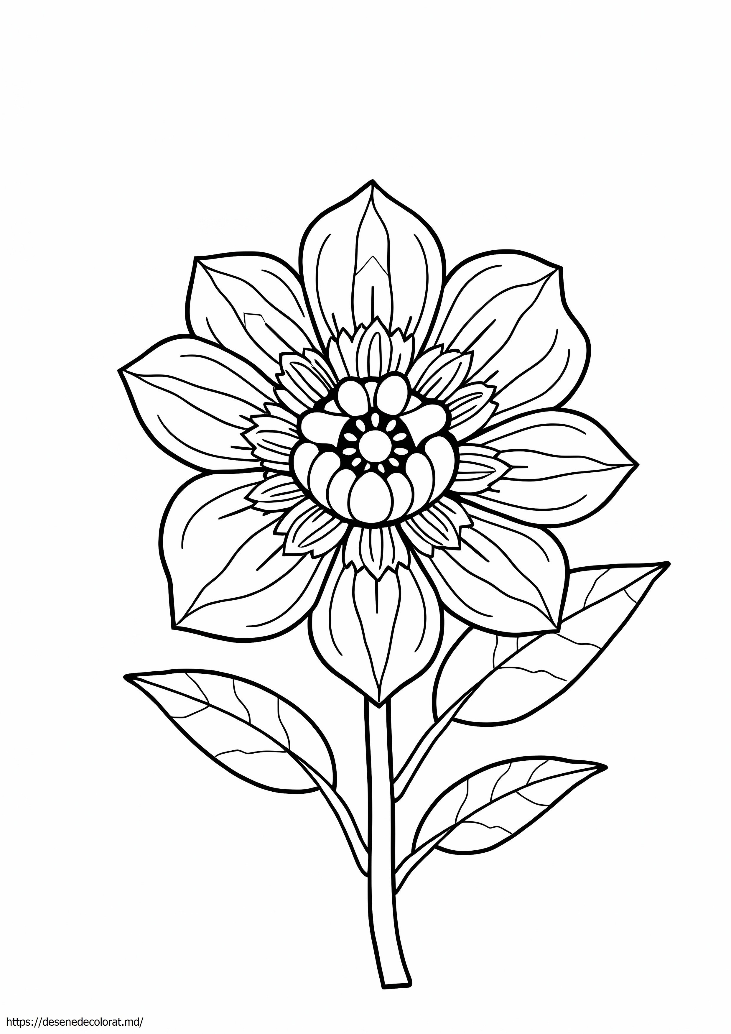 Floare tare