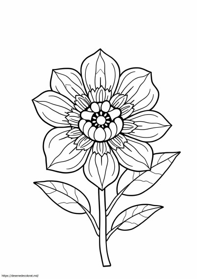 Floare tare