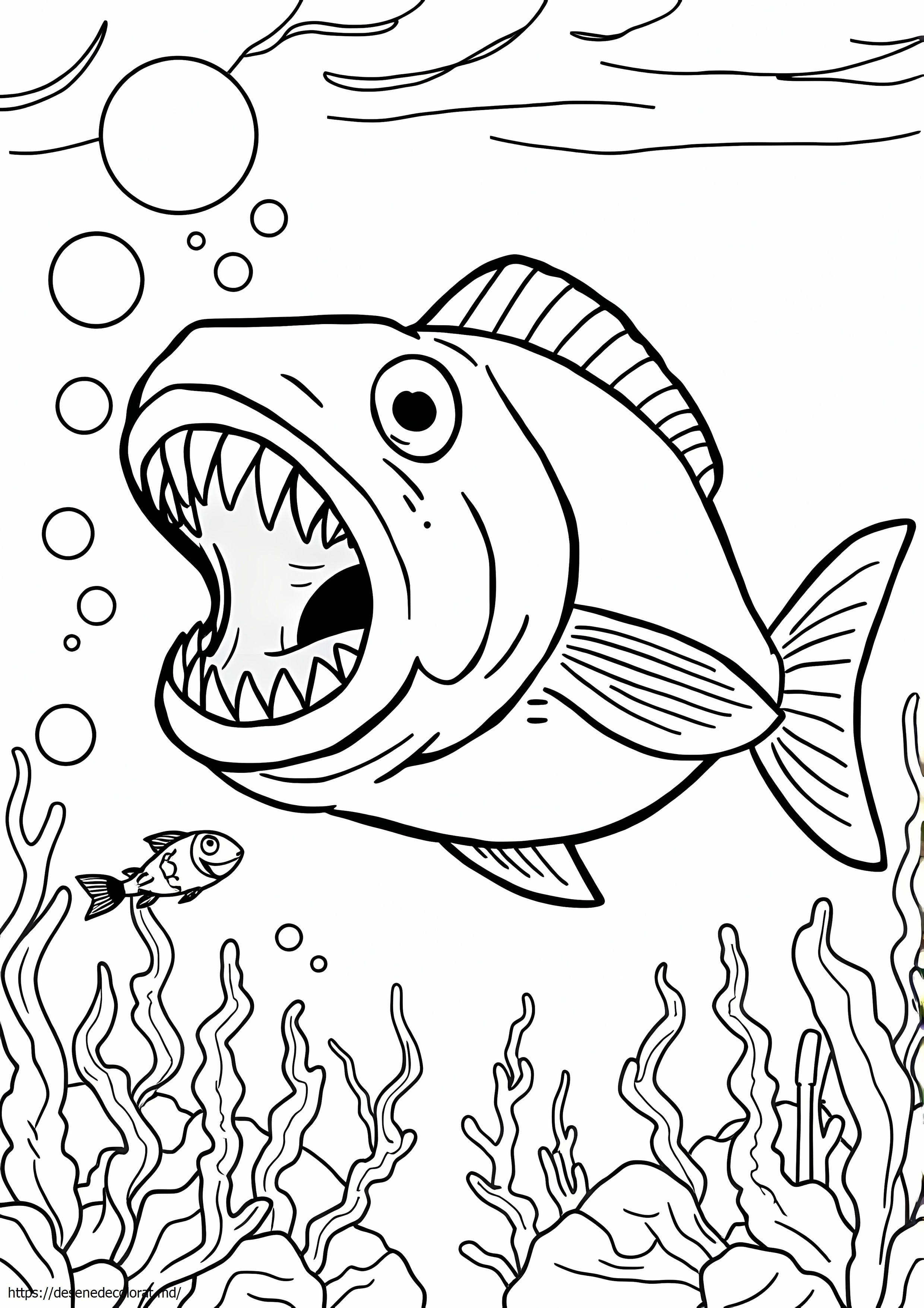 Dunkleosteus