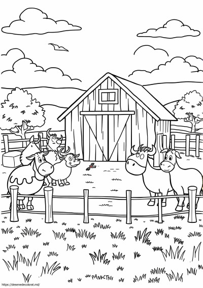 Film barnyard
