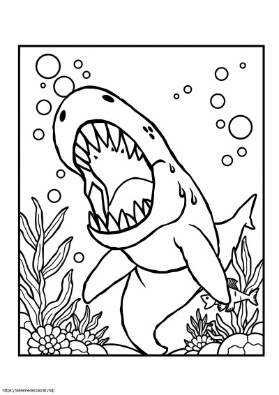 Megalodon mosasaurus