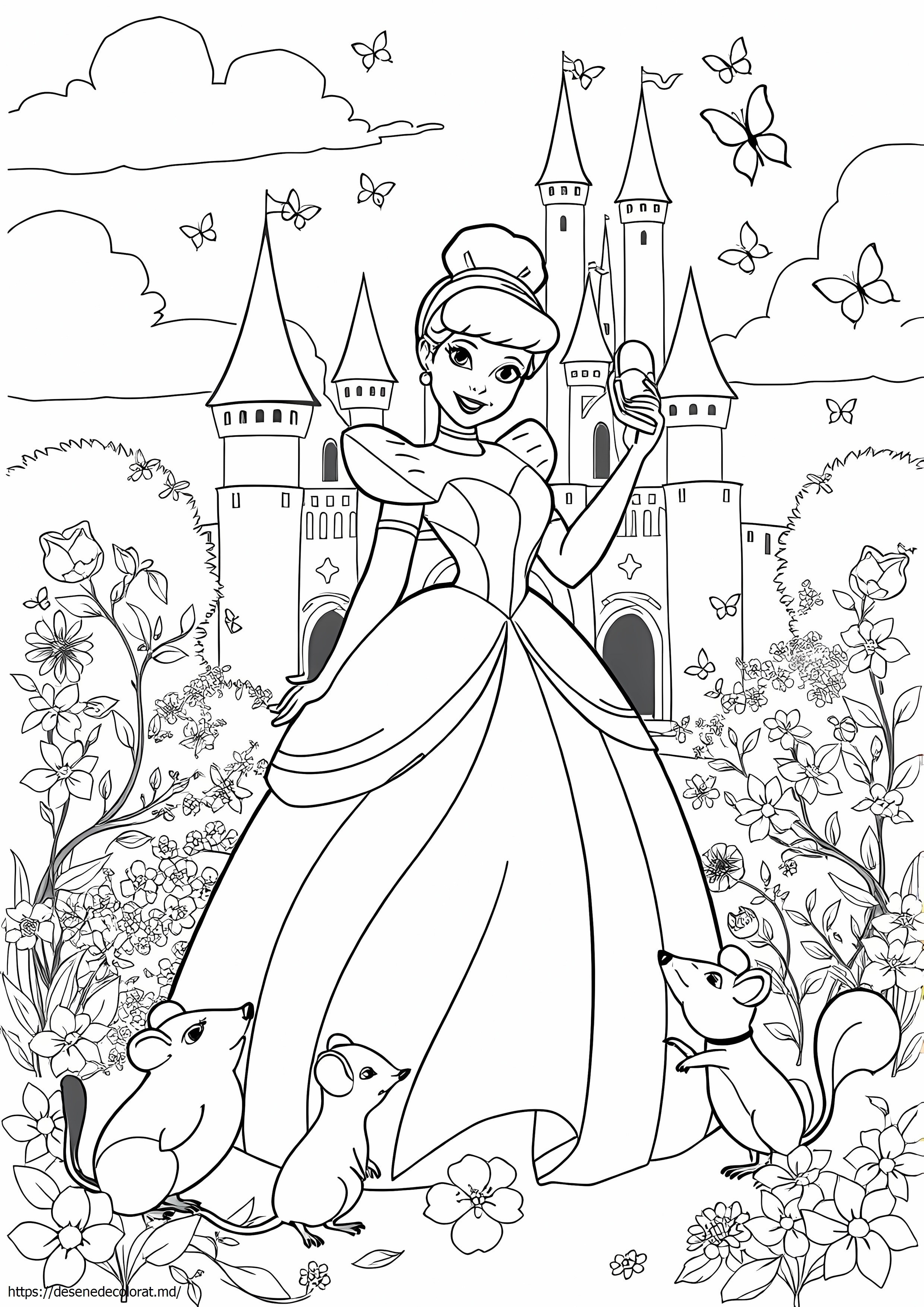 Cenusareasa disney