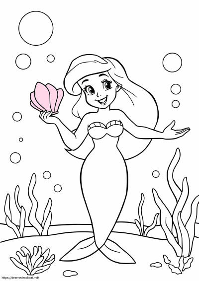 Noua ariel
