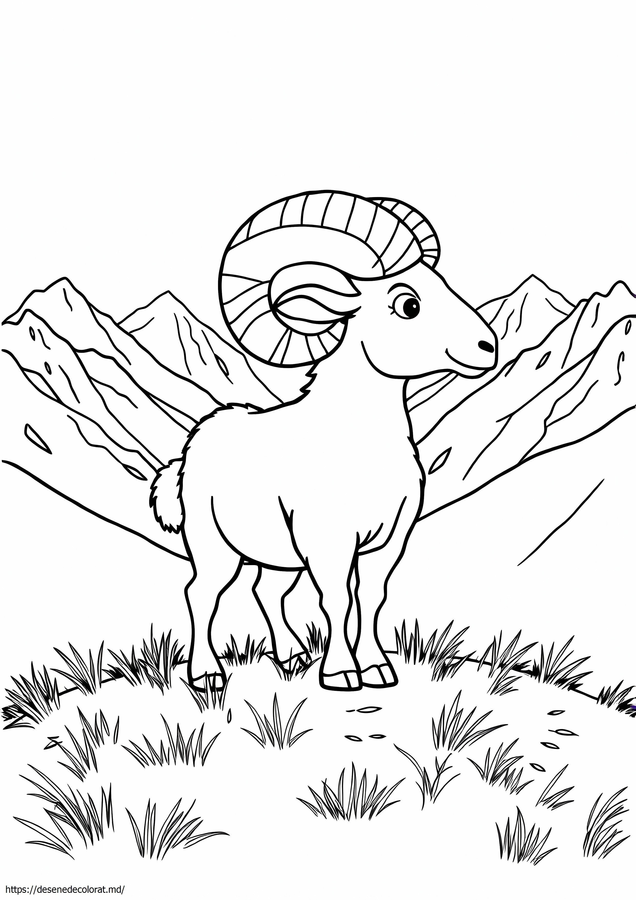 Oaie cu corn mare