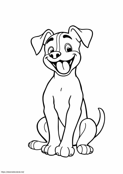 Catelus boxer