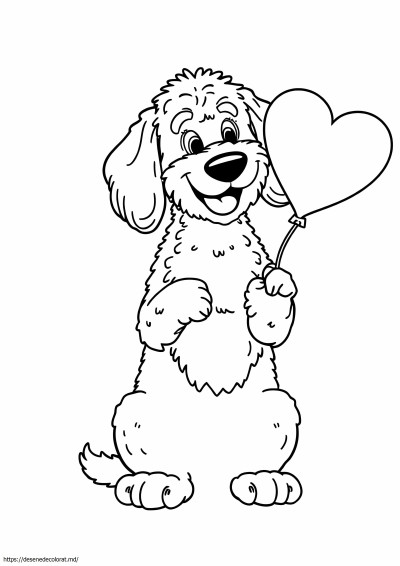 Bernedoodle