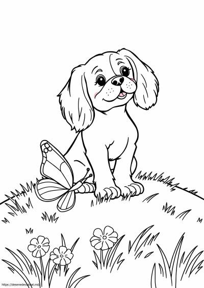 Cavalier king charles