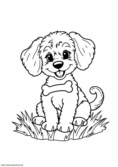 Cockapoo