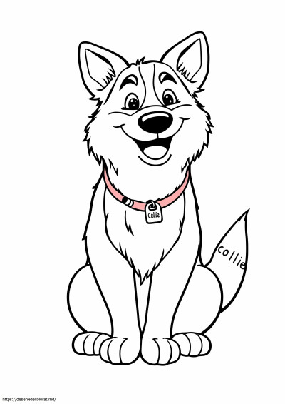 Collie