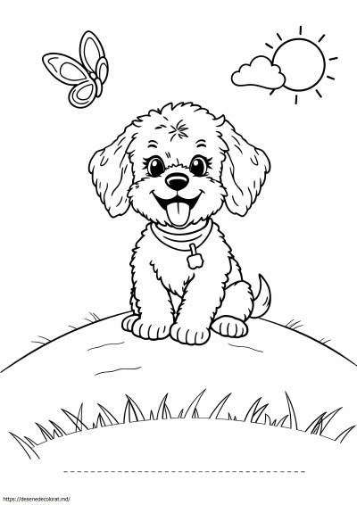Cavapoo
