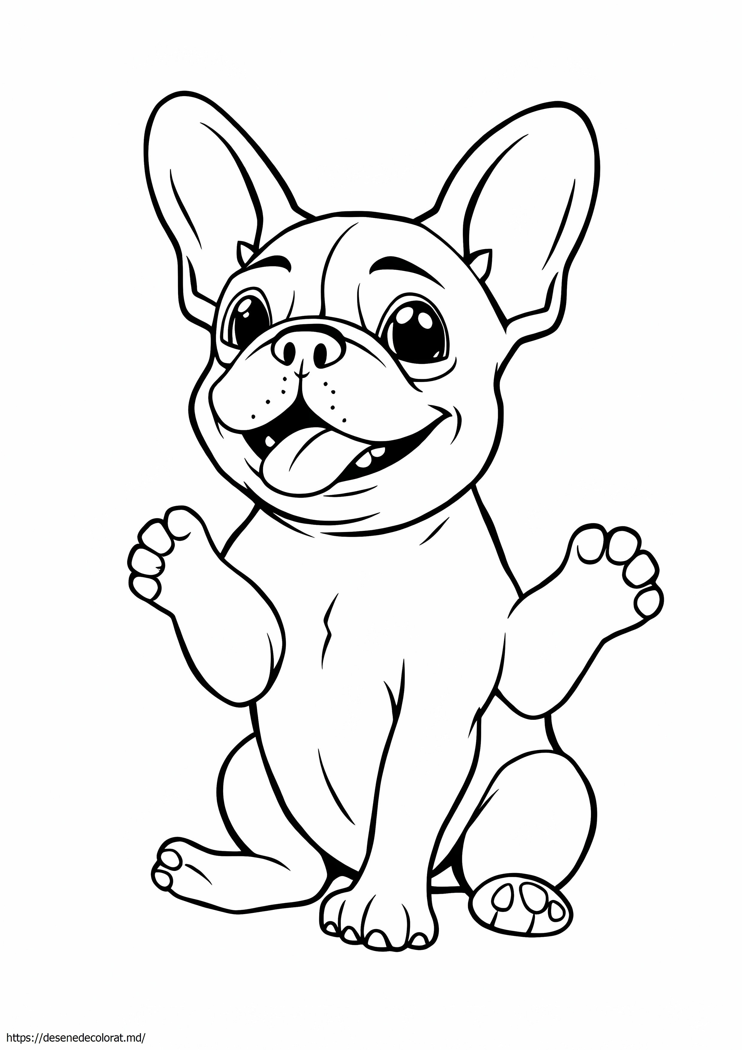 Buldog francez