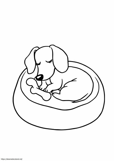 Daschund