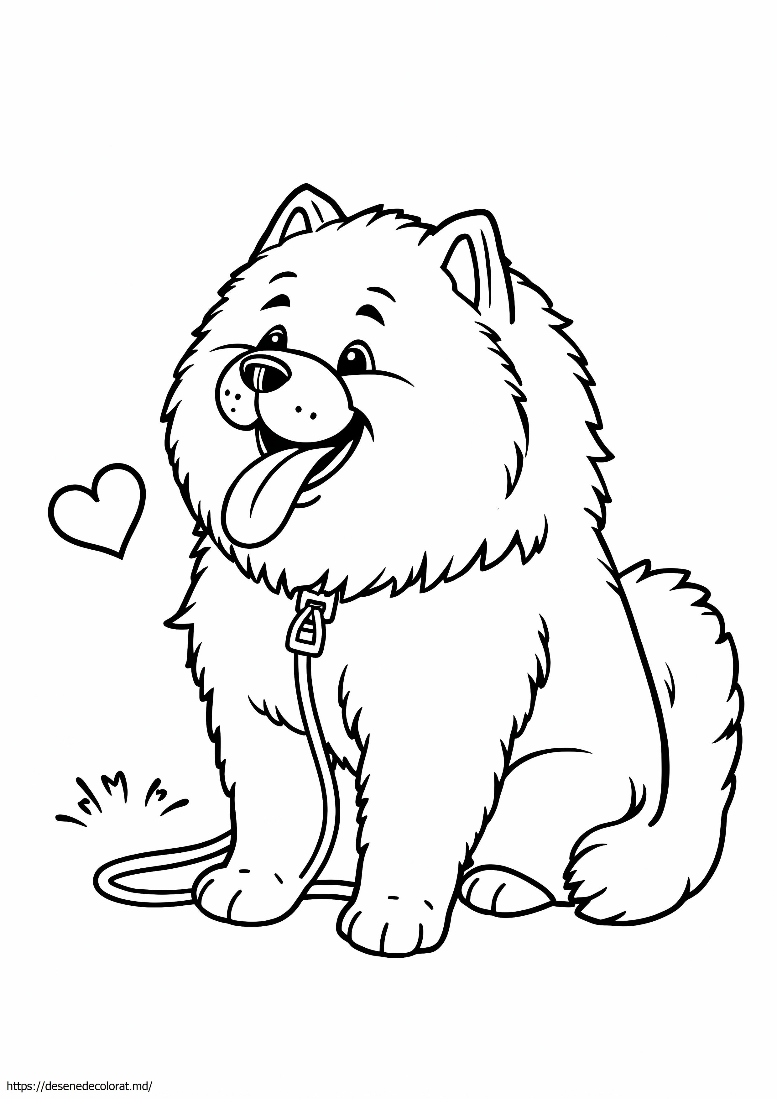Chow chow