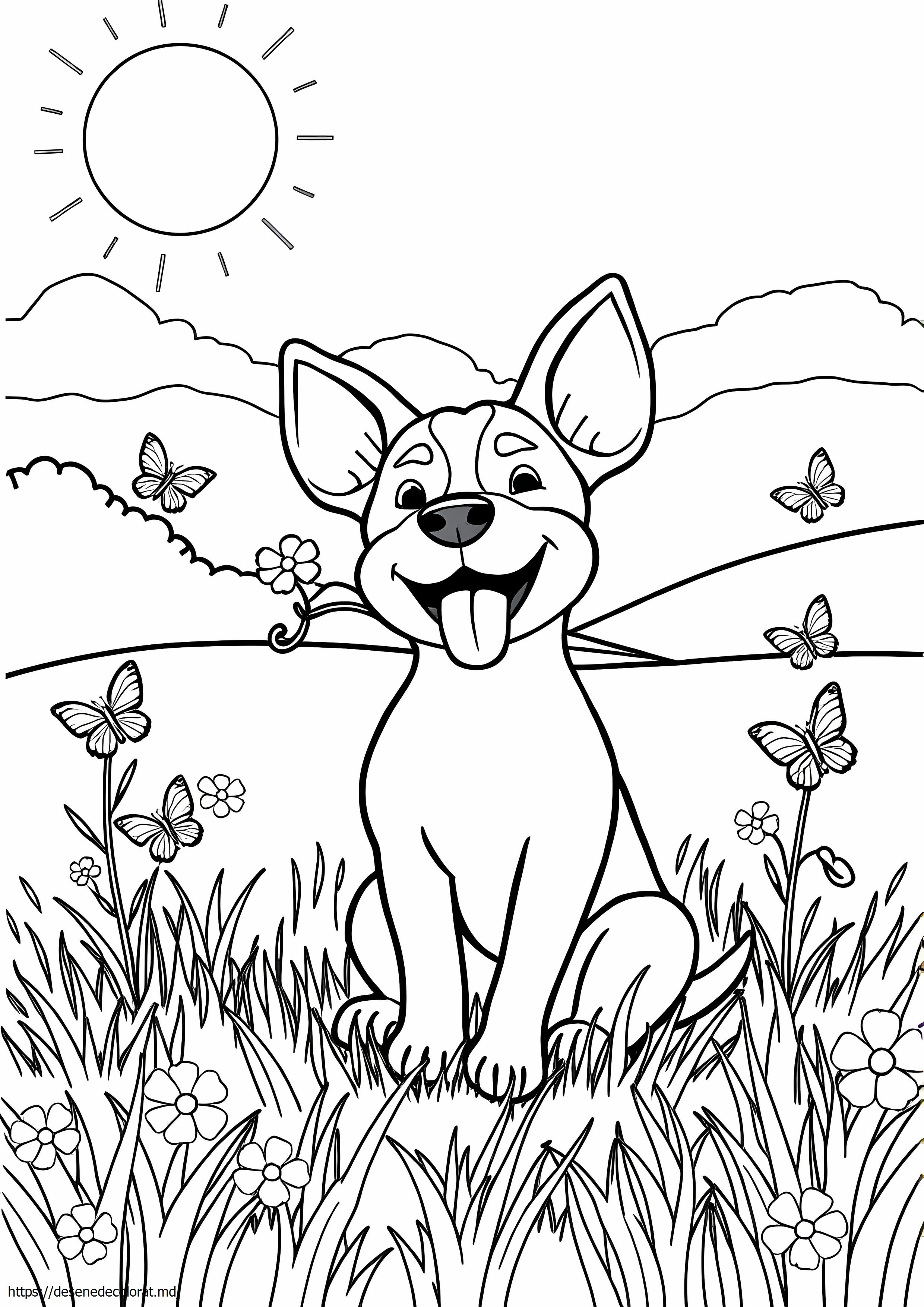 Jack russell